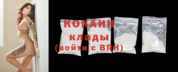 прущие крисы Дмитриев